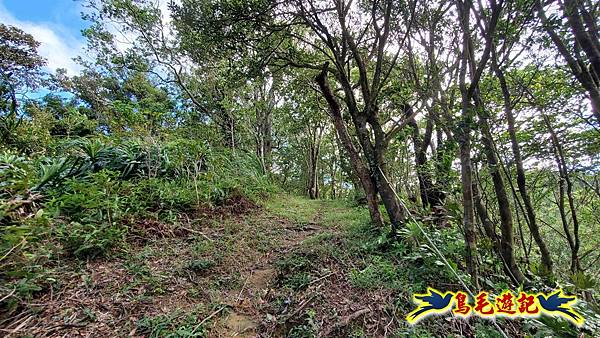平湖西步道-內平林山-平湖東步道O形 (15).jpg