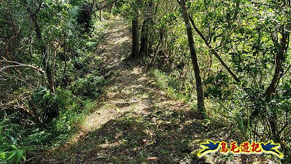 平湖西步道-內平林山-平湖東步道O形 (19).jpg