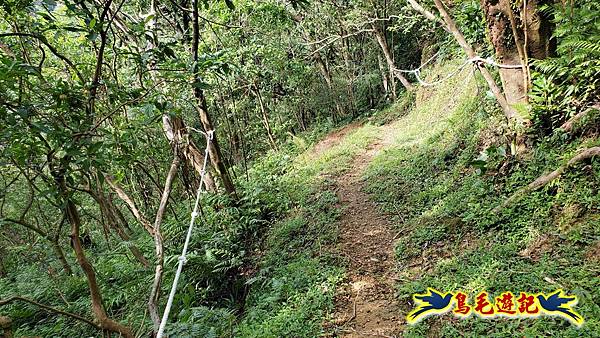 平湖西步道-內平林山-平湖東步道O形 (21).jpg