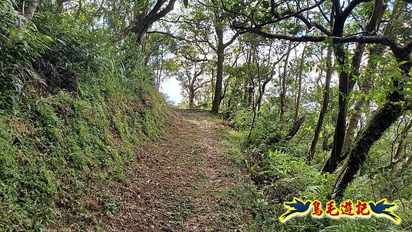 平湖西步道-內平林山-平湖東步道O形 (20).jpg 平湖西步道-內平林山-平湖東步道O形 (20).jpg