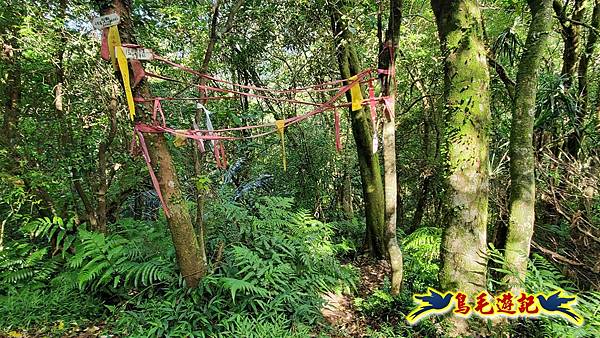 平湖西步道-內平林山-平湖東步道O形 (24).jpg 平湖西步道-內平林山-平湖東步道O形 (24).jpg
