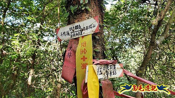 平湖西步道-內平林山-平湖東步道O形 (23).jpg