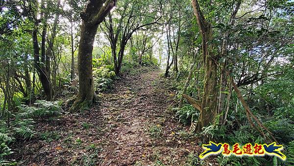 平湖西步道-內平林山-平湖東步道O形 (22).jpg 平湖西步道-內平林山-平湖東步道O形 (22).jpg