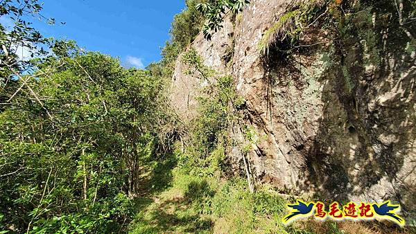 平湖西步道-內平林山-平湖東步道O形 (27).jpg