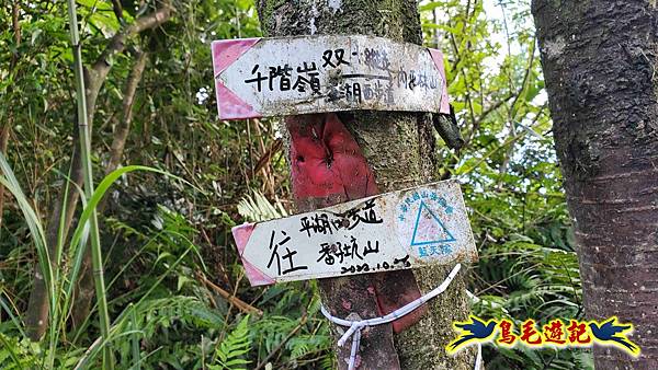 平湖西步道-內平林山-平湖東步道O形 (29).jpg