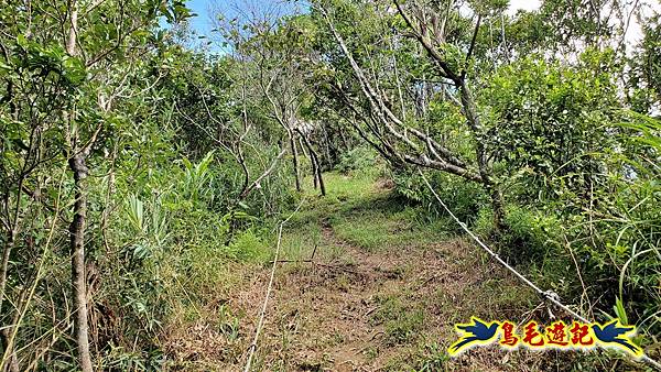 平湖西步道-內平林山-平湖東步道O形 (30).jpg 平湖西步道-內平林山-平湖東步道O形 (30).jpg