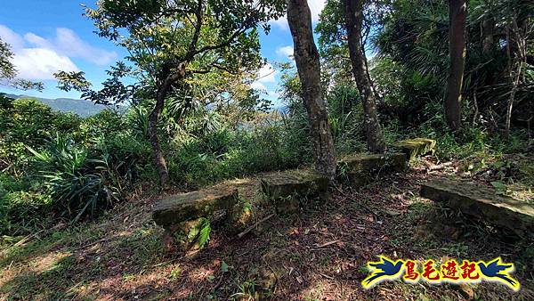 平湖西步道-內平林山-平湖東步道O形 (25).jpg