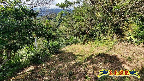 平湖西步道-內平林山-平湖東步道O形 (26).jpg 平湖西步道-內平林山-平湖東步道O形 (26).jpg