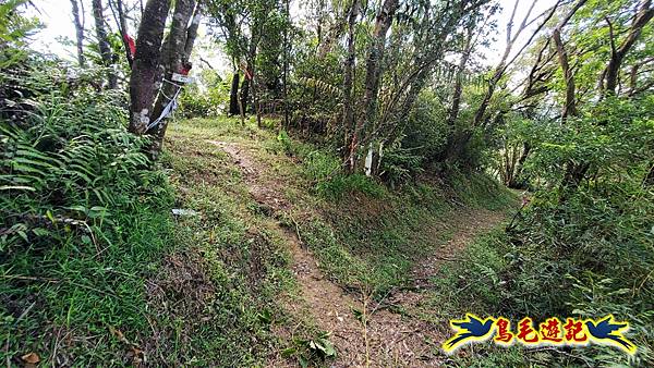 平湖西步道-內平林山-平湖東步道O形 (28).jpg 平湖西步道-內平林山-平湖東步道O形 (28).jpg