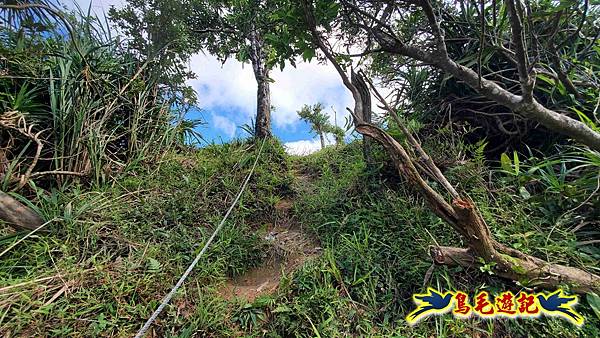 平湖西步道-內平林山-平湖東步道O形 (31).jpg