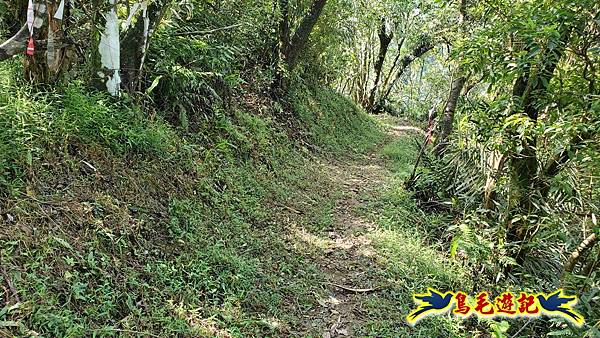 平湖西步道-內平林山-平湖東步道O形 (36).jpg 平湖西步道-內平林山-平湖東步道O形 (36).jpg