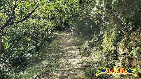 平湖西步道-內平林山-平湖東步道O形 (40).jpg 平湖西步道-內平林山-平湖東步道O形 (40).jpg