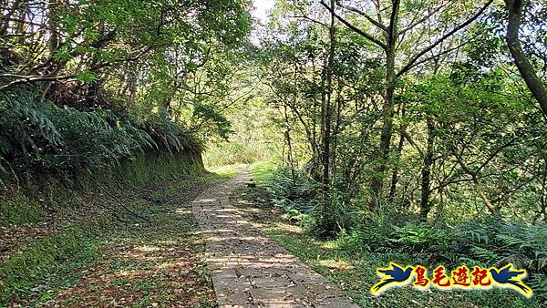 平湖西步道-內平林山-平湖東步道O形 (41).jpg