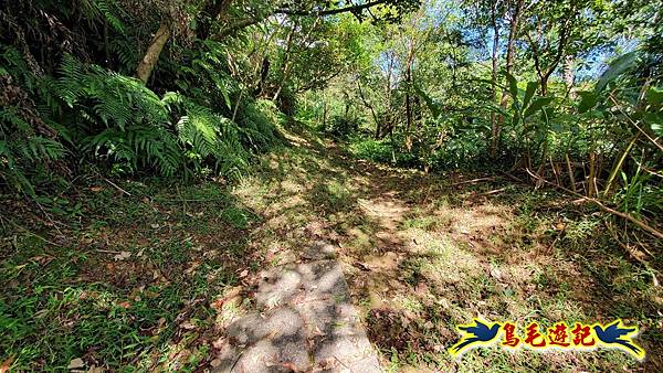 平湖西步道-內平林山-平湖東步道O形 (43).jpg