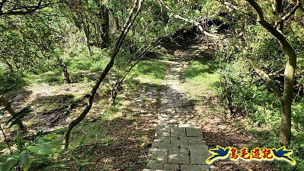 平湖西步道-內平林山-平湖東步道O形 (42).jpg 平湖西步道-內平林山-平湖東步道O形 (42).jpg