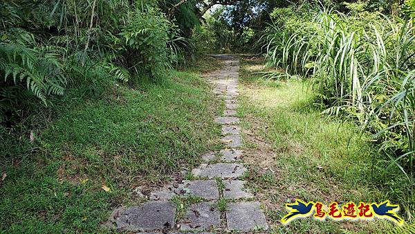 平湖西步道-內平林山-平湖東步道O形 (44).jpg 平湖西步道-內平林山-平湖東步道O形 (44).jpg