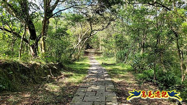 平湖西步道-內平林山-平湖東步道O形 (45).jpg