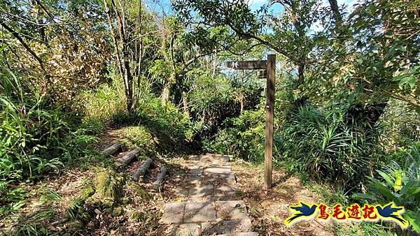 平湖西步道-內平林山-平湖東步道O形 (46).jpg 平湖西步道-內平林山-平湖東步道O形 (46).jpg