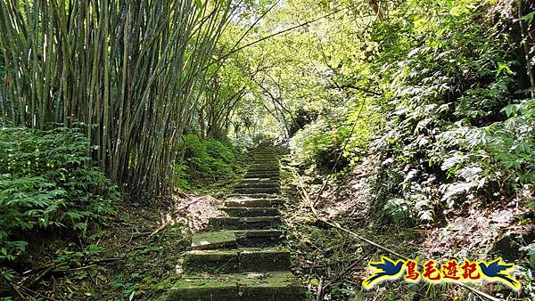 平湖西步道-內平林山-平湖東步道O形 (51).jpg