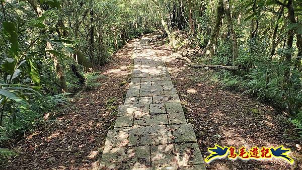 平湖西步道-內平林山-平湖東步道O形 (50).jpg 平湖西步道-內平林山-平湖東步道O形 (50).jpg