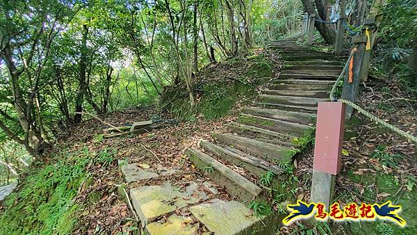 平湖西步道-內平林山-平湖東步道O形 (49).jpg