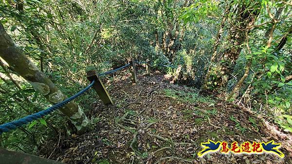 平湖西步道-內平林山-平湖東步道O形 (48).jpg 平湖西步道-內平林山-平湖東步道O形 (48).jpg