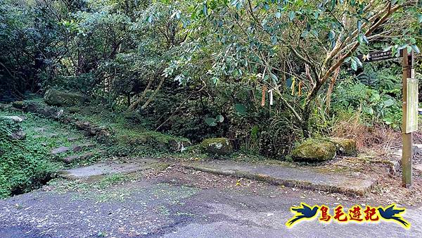 平湖西步道-內平林山-平湖東步道O形 (56).jpg