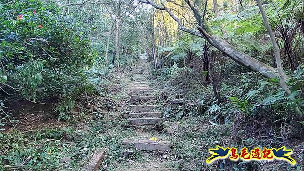 暖暖苗圃-外西勢坑山-暖暖砲台-復基煤礦O形 (6).jpg 暖暖苗圃-外西勢坑山-暖暖砲台-復基煤礦O形 (6).jpg