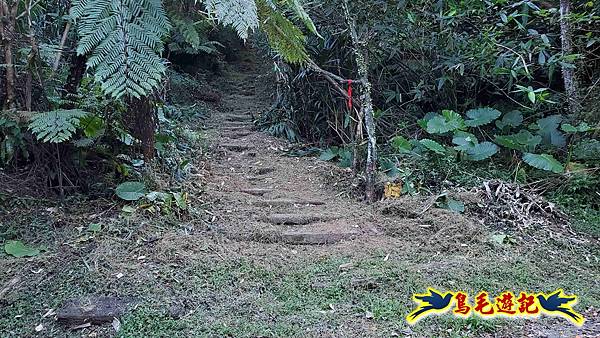 暖暖苗圃-外西勢坑山-暖暖砲台-復基煤礦O形 (4).jpg 暖暖苗圃-外西勢坑山-暖暖砲台-復基煤礦O形 (4).jpg