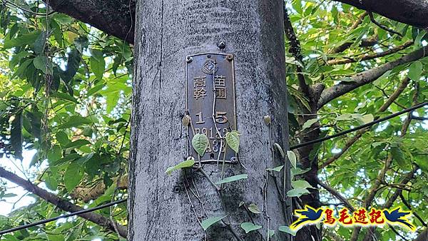 暖暖苗圃-外西勢坑山-暖暖砲台-復基煤礦O形 (3).jpg