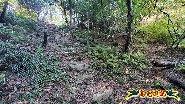 暖暖苗圃-外西勢坑山-暖暖砲台-復基煤礦O形 (12).jpg 暖暖苗圃-外西勢坑山-暖暖砲台-復基煤礦O形 (12).jpg