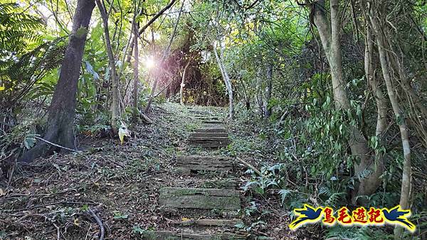 暖暖苗圃-外西勢坑山-暖暖砲台-復基煤礦O形 (7).jpg