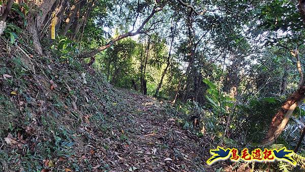 暖暖苗圃-外西勢坑山-暖暖砲台-復基煤礦O形 (11).jpg