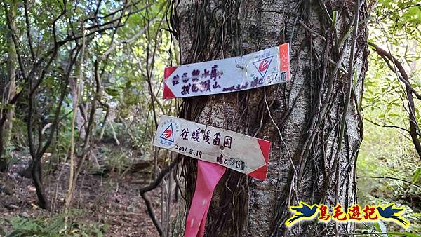 暖暖苗圃-外西勢坑山-暖暖砲台-復基煤礦O形 (13).jpg