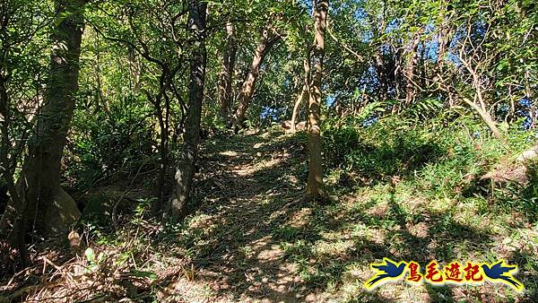 暖暖苗圃-外西勢坑山-暖暖砲台-復基煤礦O形 (17).jpg