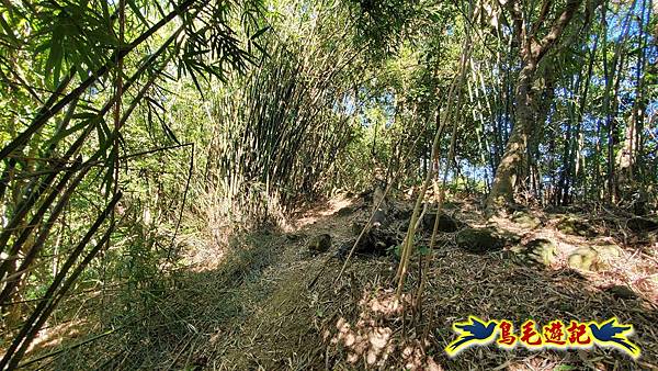 暖暖苗圃-外西勢坑山-暖暖砲台-復基煤礦O形 (18).jpg 暖暖苗圃-外西勢坑山-暖暖砲台-復基煤礦O形 (18).jpg