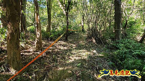 暖暖苗圃-外西勢坑山-暖暖砲台-復基煤礦O形 (15).jpg