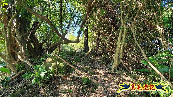 暖暖苗圃-外西勢坑山-暖暖砲台-復基煤礦O形 (16).jpg 暖暖苗圃-外西勢坑山-暖暖砲台-復基煤礦O形 (16).jpg