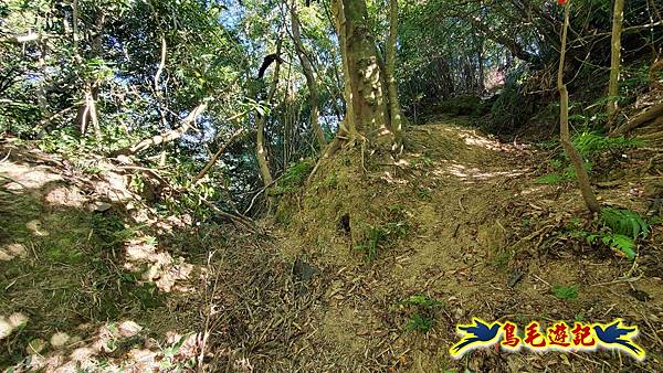 暖暖苗圃-外西勢坑山-暖暖砲台-復基煤礦O形 (19).jpg