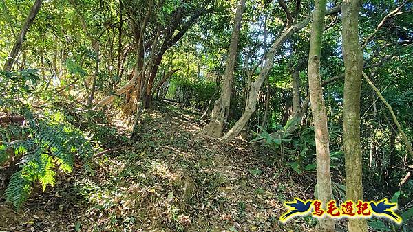 暖暖苗圃-外西勢坑山-暖暖砲台-復基煤礦O形 (20).jpg 暖暖苗圃-外西勢坑山-暖暖砲台-復基煤礦O形 (20).jpg