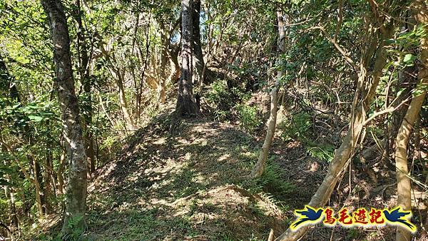 暖暖苗圃-外西勢坑山-暖暖砲台-復基煤礦O形 (22).jpg 暖暖苗圃-外西勢坑山-暖暖砲台-復基煤礦O形 (22).jpg