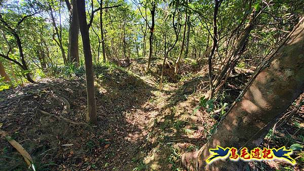 暖暖苗圃-外西勢坑山-暖暖砲台-復基煤礦O形 (21).jpg