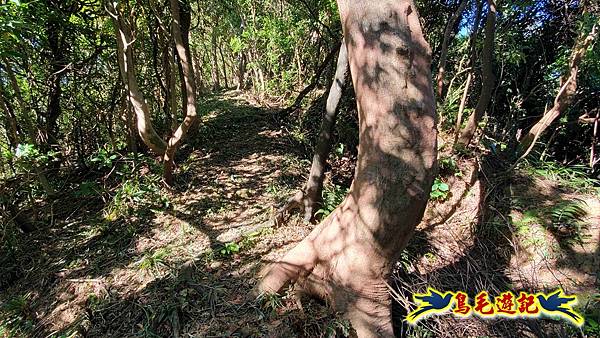 暖暖苗圃-外西勢坑山-暖暖砲台-復基煤礦O形 (26).jpg 暖暖苗圃-外西勢坑山-暖暖砲台-復基煤礦O形 (26).jpg