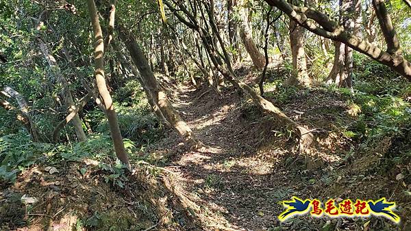 暖暖苗圃-外西勢坑山-暖暖砲台-復基煤礦O形 (33).jpg 暖暖苗圃-外西勢坑山-暖暖砲台-復基煤礦O形 (33).jpg