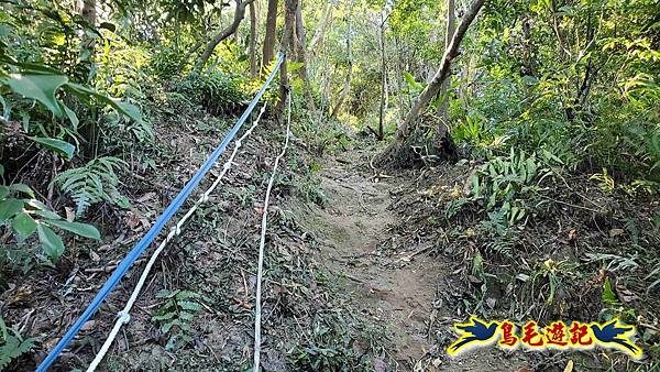 暖暖苗圃-外西勢坑山-暖暖砲台-復基煤礦O形 (35).jpg 暖暖苗圃-外西勢坑山-暖暖砲台-復基煤礦O形 (35).jpg