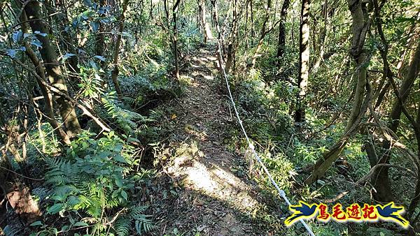 暖暖苗圃-外西勢坑山-暖暖砲台-復基煤礦O形 (34).jpg