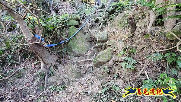 暖暖苗圃-外西勢坑山-暖暖砲台-復基煤礦O形 (41).jpg