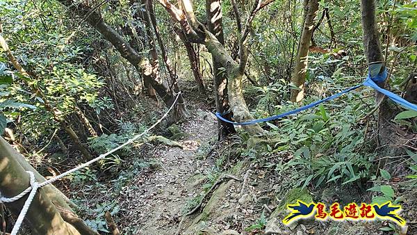 暖暖苗圃-外西勢坑山-暖暖砲台-復基煤礦O形 (40).jpg 暖暖苗圃-外西勢坑山-暖暖砲台-復基煤礦O形 (40).jpg