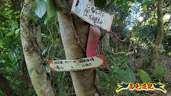 暖暖苗圃-外西勢坑山-暖暖砲台-復基煤礦O形 (42).jpg 暖暖苗圃-外西勢坑山-暖暖砲台-復基煤礦O形 (42).jpg