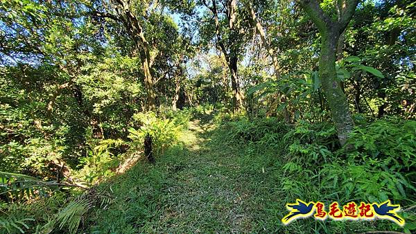 暖暖苗圃-外西勢坑山-暖暖砲台-復基煤礦O形 (44).jpg 暖暖苗圃-外西勢坑山-暖暖砲台-復基煤礦O形 (44).jpg